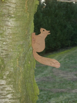 Eichhörnchen mit Baumbefestigung