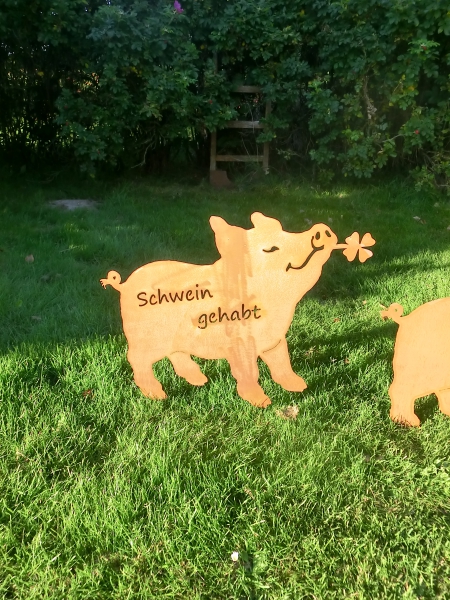 Schwein / Schwein gehabt
